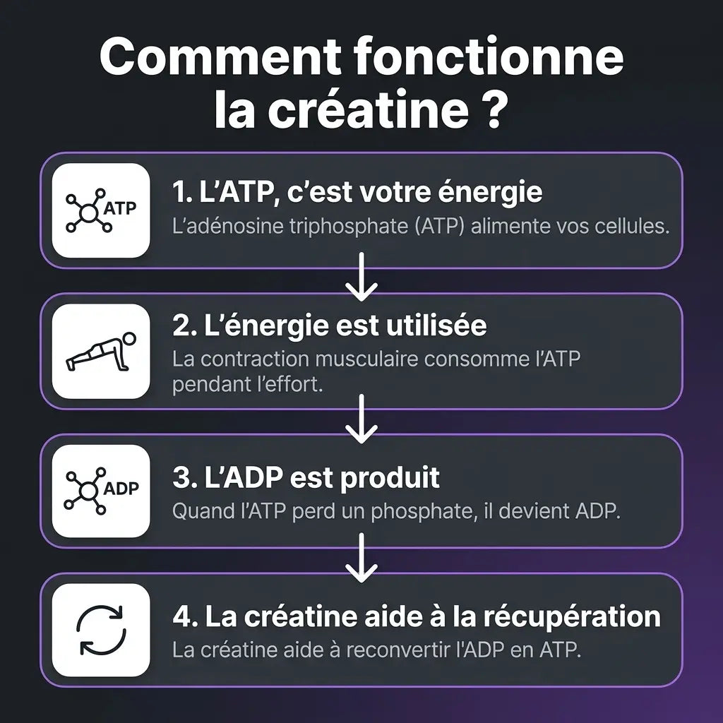 Gummies de Créatine Velyapure — Myrtille